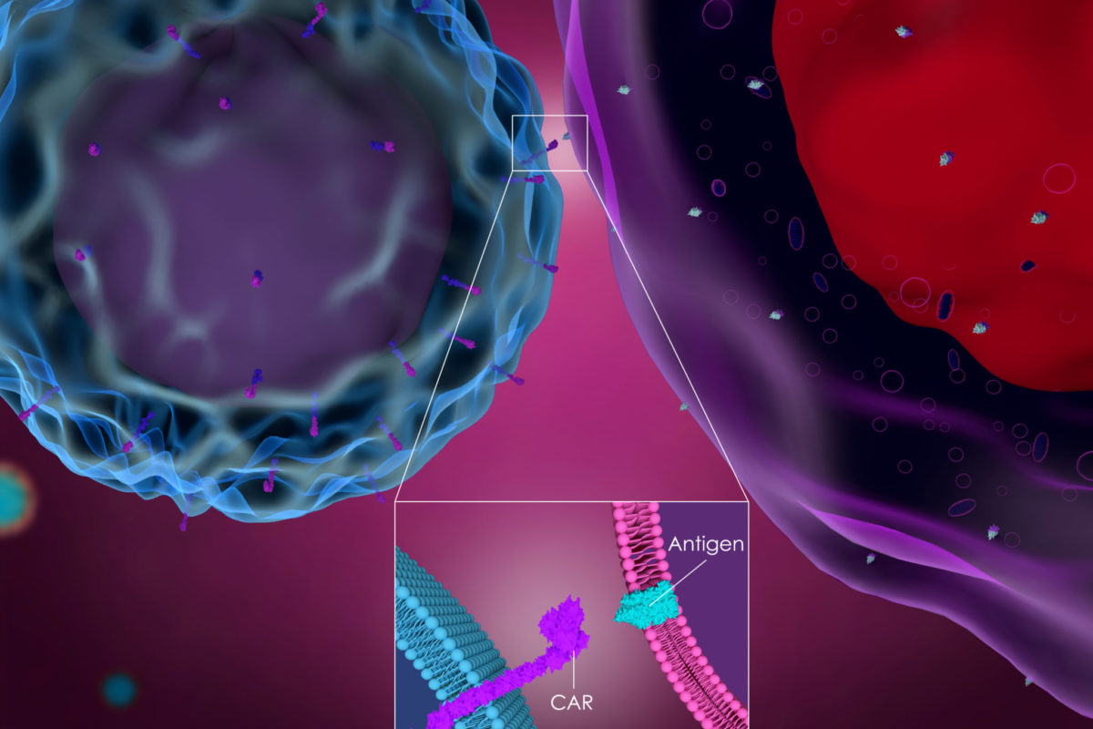 Targeted treatments plus engineered immune cells may slow early spread of triple negative breast cancer, study reveals
