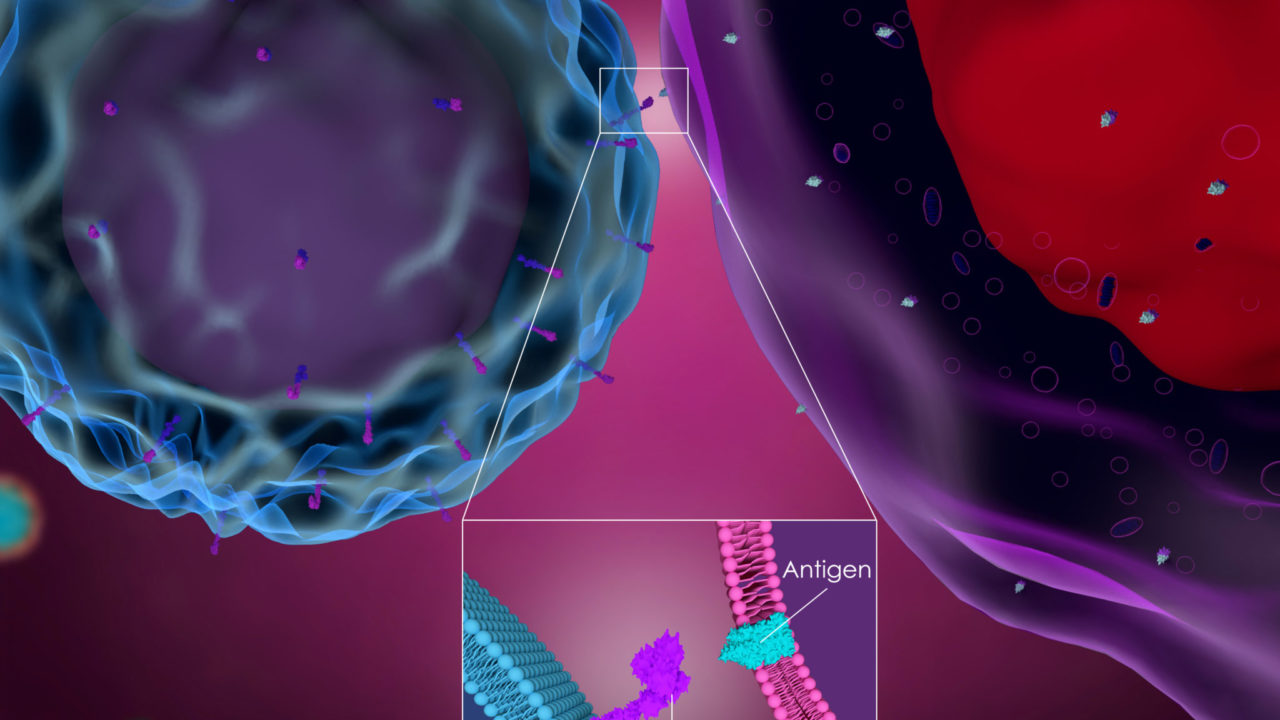 CAR T-cell therapy effective for relapsed mantle cell lymphoma patients