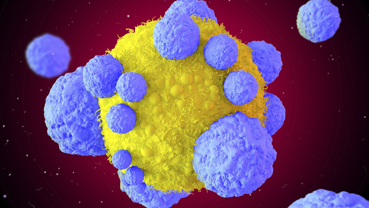 ‘Relaxed’ T cells critical to immune response