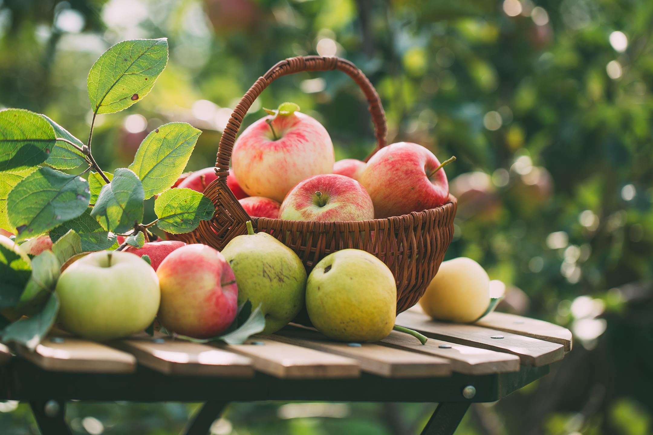 What are the health benefits of apples?