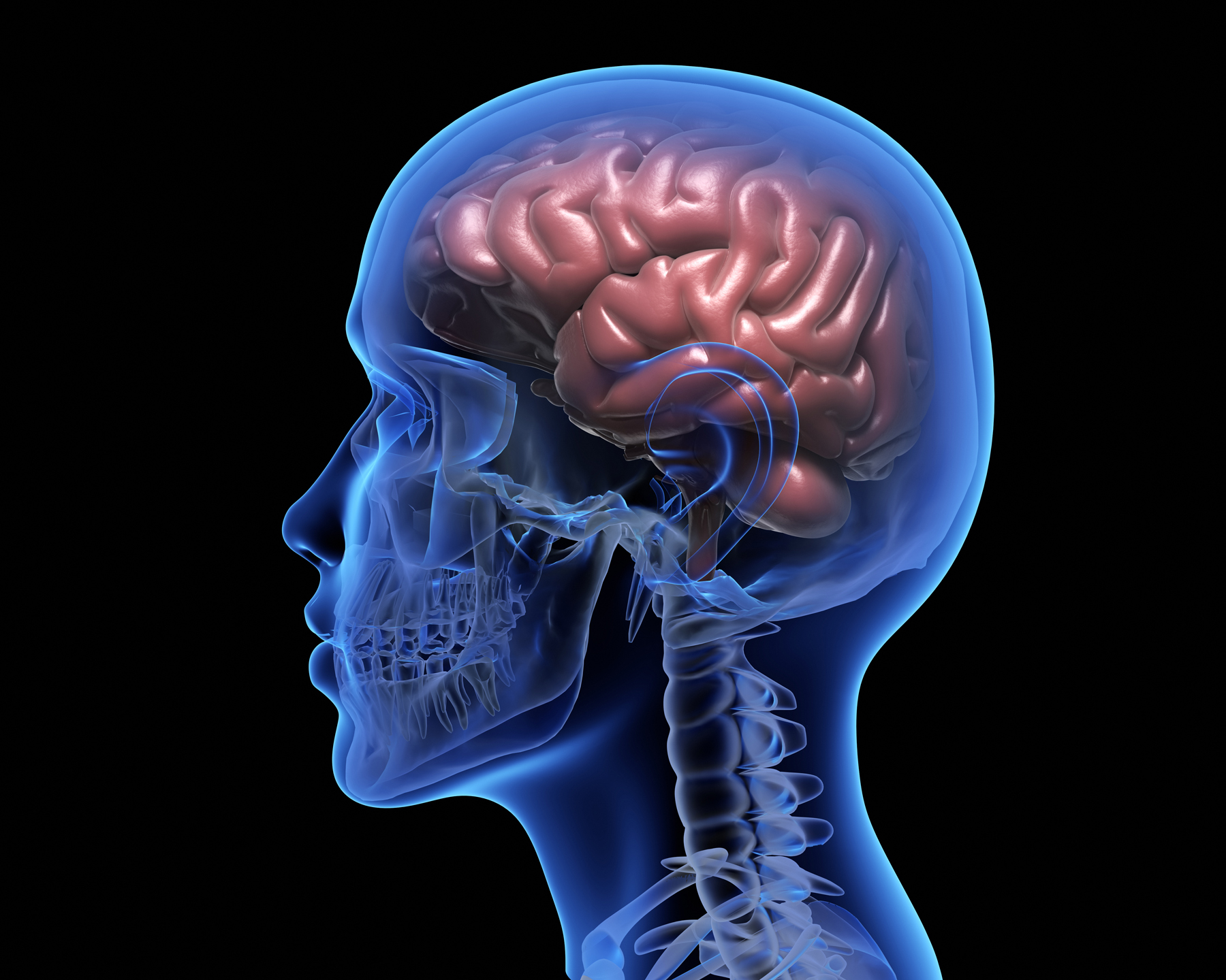 Experimental cell therapy delivers encouraging results for patients with rare, potentially fatal brain infection