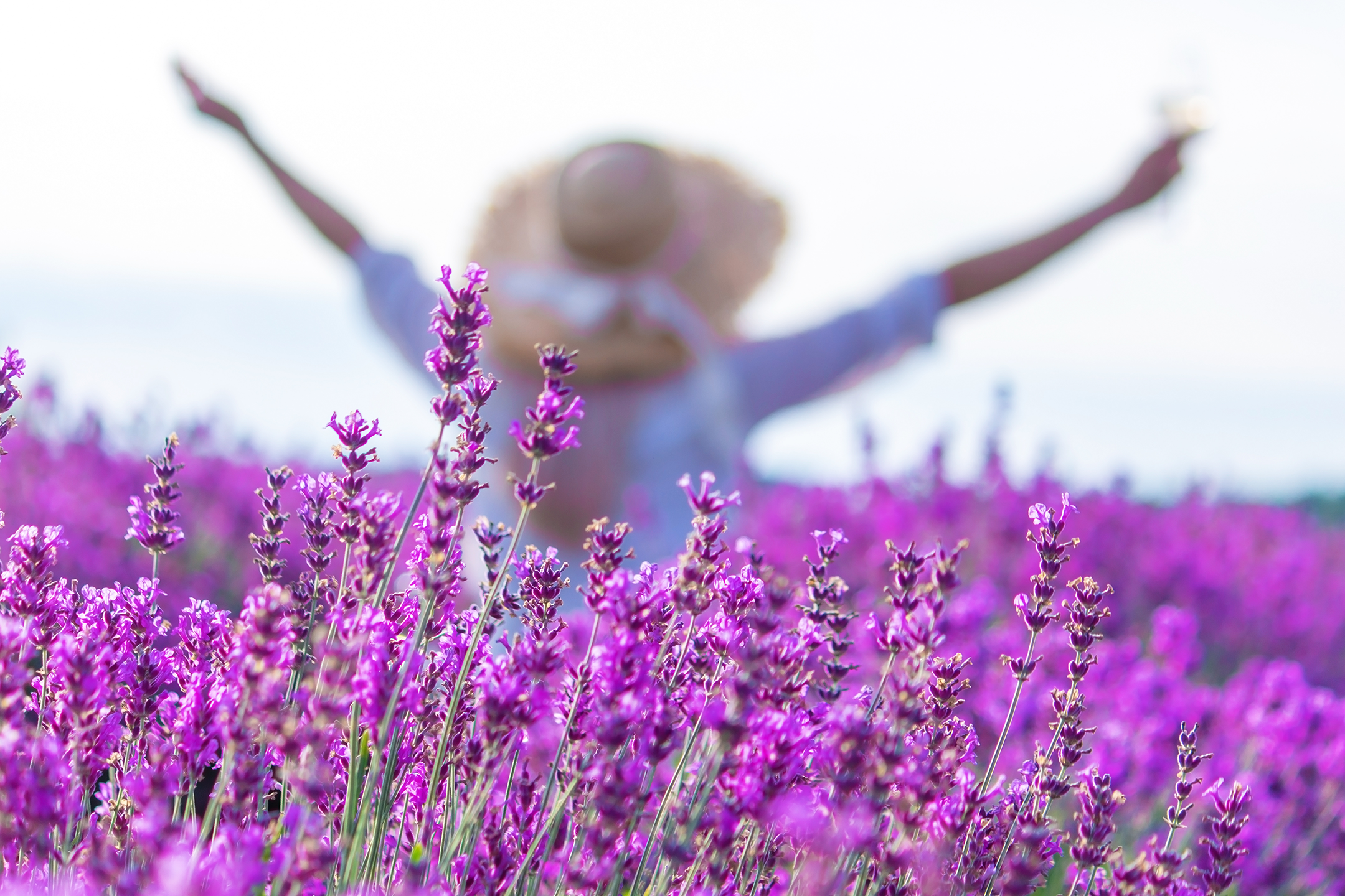 What are the health benefits of lavender?