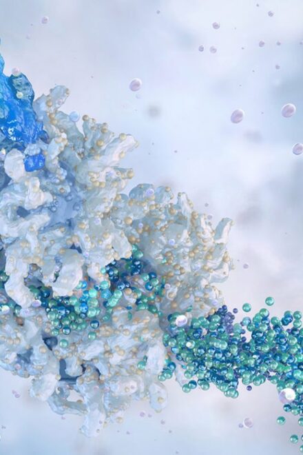 UT MD Anderson joins global consortium committed to eliminating cervical cancer