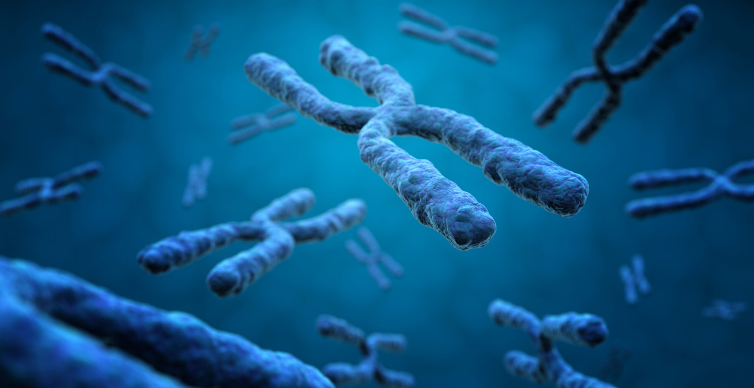Many cancers evolve through early bursts of chromosome changes and originate from a single cancer cell