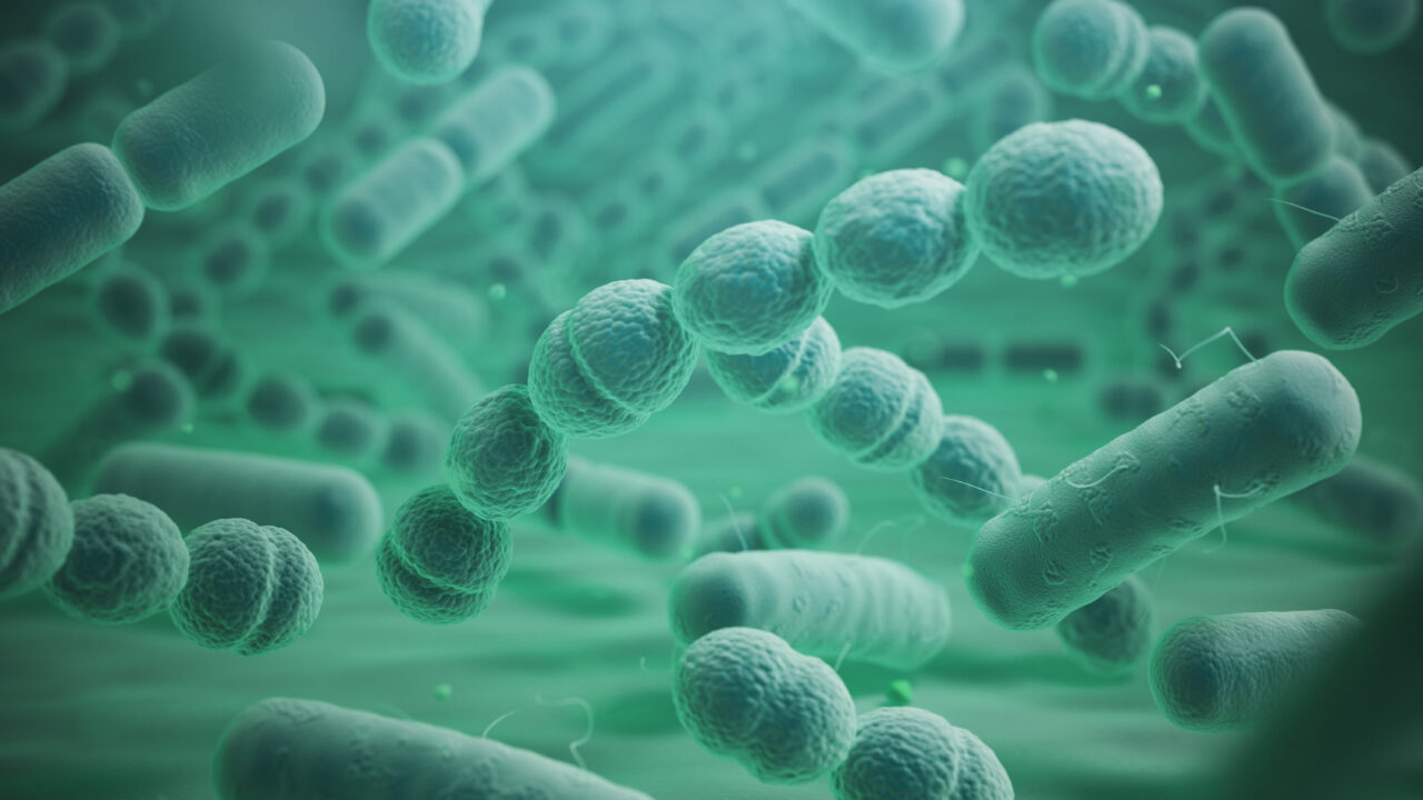 Reshaping the gut microbiome can boost chemotherapy delivery to tumors