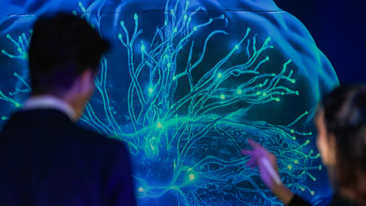 Researchers identify new way to reduce chronic nerve pain